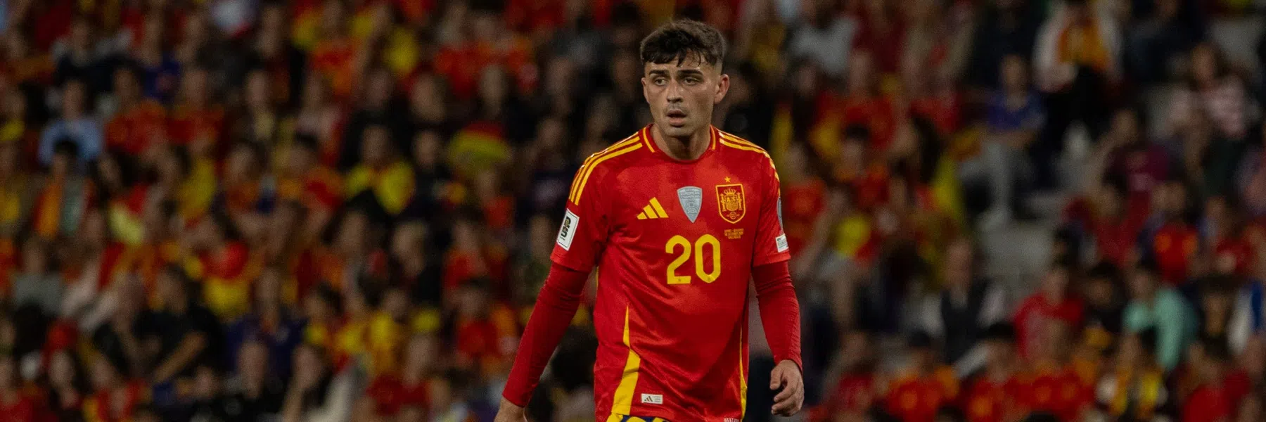 Ondersteunend beeld bij het artikel